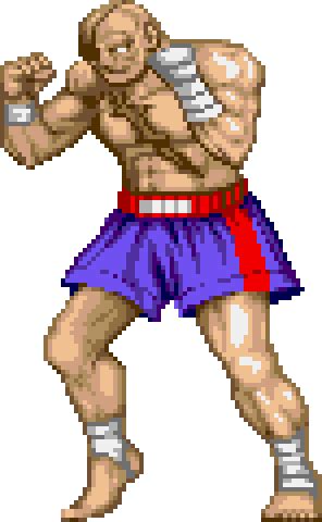 Street Fighter II/Sagat — StrategyWiki | Strategy guide and game ...