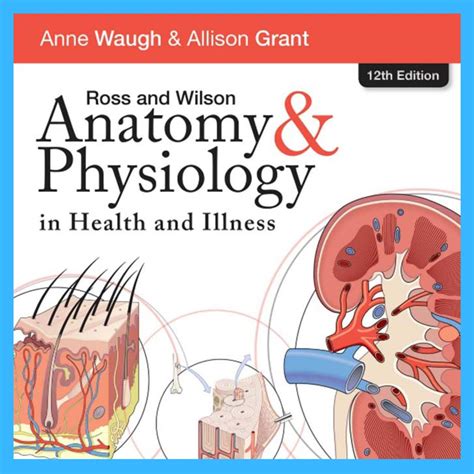 Ross And Wilson Anatomy And Physiology In Health And Illness 12th Edition Shopee Malaysia