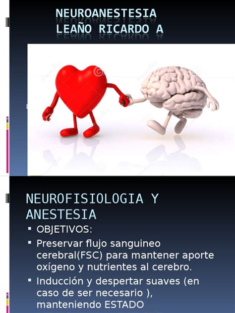 Pdf Neuro Anestesia Dokumen Tips