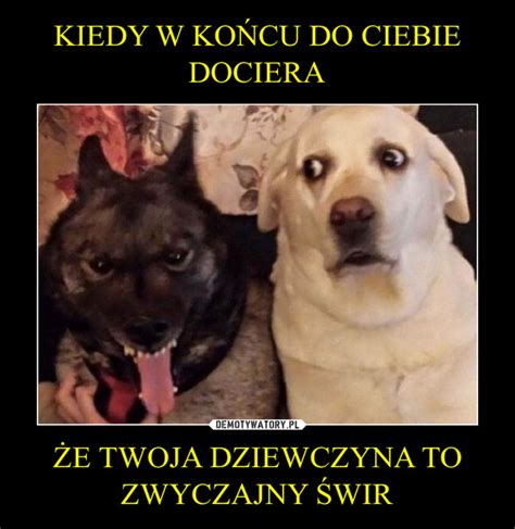 KIEDY W KOŃCU DO CIEBIE DOCIERA ŻE TWOJA DZIEWCZYNA TO ZWYCZAJNY ŚWIR