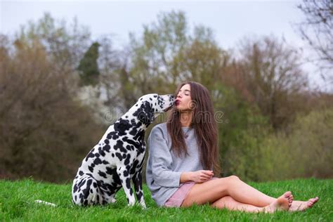 La Jeune Femme Obtient Un Baiser Dun Chien Dalmatien Image Stock