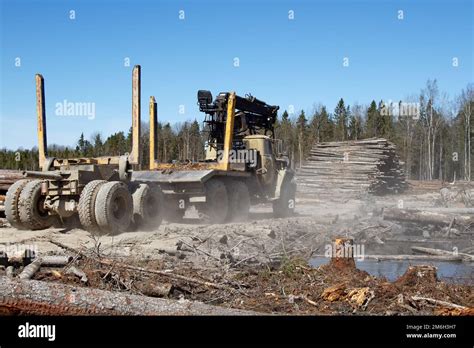 Operations for loading a logging truck Stock Photo - Alamy