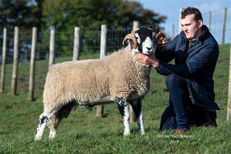 B District Ram Sale Shearling Rams Day 1 Sale Report