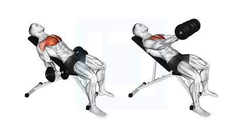 Dumbbell Incline Low Fly Guide Benefits And Form