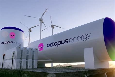 Octopus Hydrogen Wins Net Zero Hydrogen Funding For 15 Mw Scotland