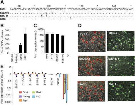 The OCT4 SOX2 Configuration Plays An Important Role In Reprogramming