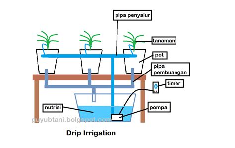 Cara Kerja Hidroponik Drip Irrigation Irigasi Tetes Guyub Tani