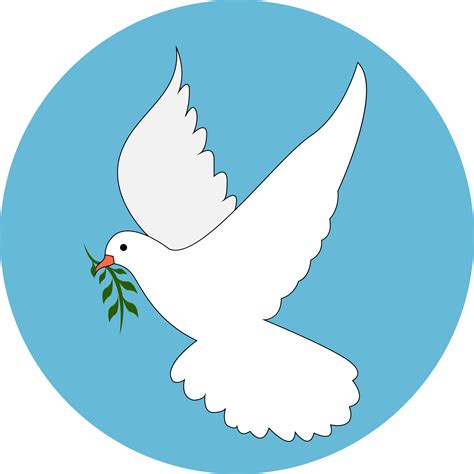 White Dove Illustration Vector On White Background 13842373 Vector