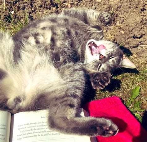 A Lad Has Just Messaged Me Asking To See My Pussy Spread Its A Bit Of An Odd Request But I Aim