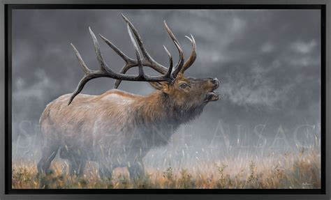 Elk Paintings