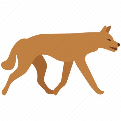 Australia Canine Dingo Dog Feral Fox Wild Icon