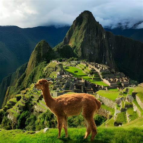 Conquer The Andean Peaks Machu Picchu Mountain Expeditions With