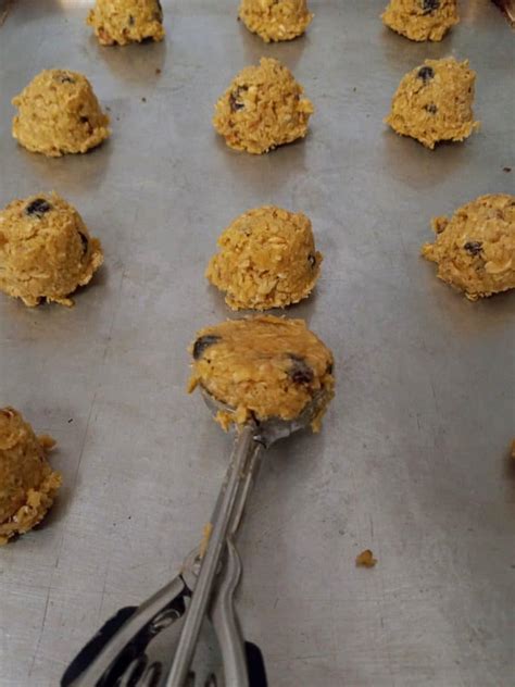 Amish Oatmeal Raisin Cookies Recipe Amish Heritage