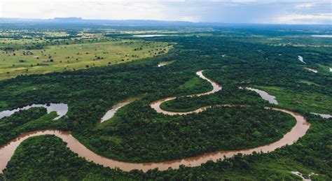 Rio Paraguai Onde Fica Caracter Sticas Import Ncia