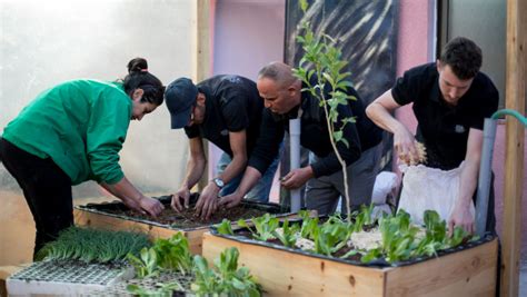 Palestinian refugees in Jordan 'green' their camps to resist