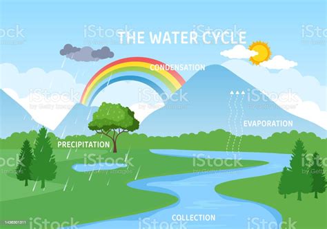 Water Cycle Of Evaporation Condensation Precipitation To Collection In