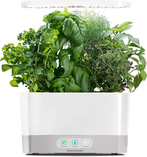 the best indoor herb garden kits for the kitchen - The Indoor Nursery