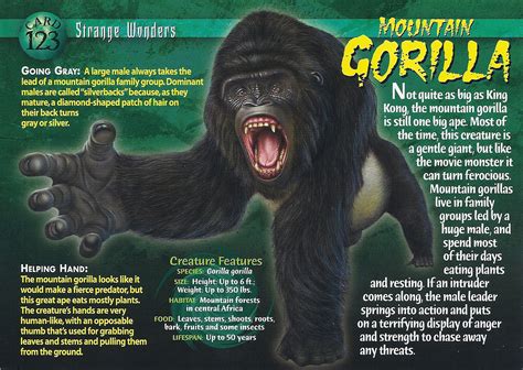 Image Mountain Gorilla Front Wierd Nwild Creatures Wiki