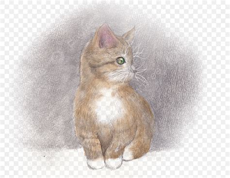 Hand Painted Sketch Cat Lovely, No Background, Transparent Bottom ...
