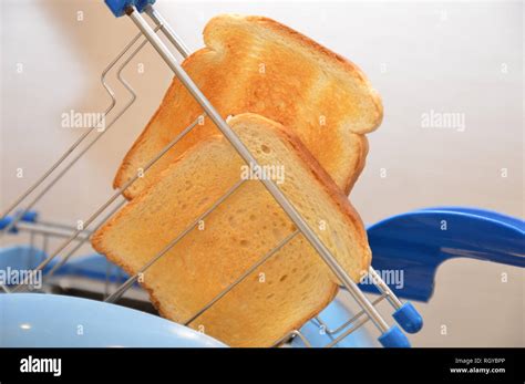 Toasted Bread In Electric Toasted Machine Stock Photo Alamy