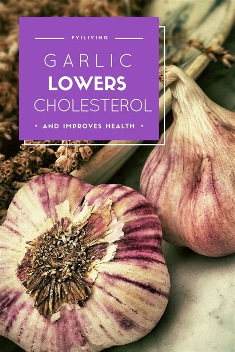 Garlic Lowers Cholesterol And Improves Health