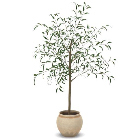 Artificial Weeping Eucalyptus Tree In Pot