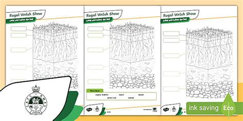 Royal Welsh Show Label And Colour The Soil Differentiated Activity