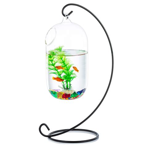 Creative Betta Fish Bowl Ideas