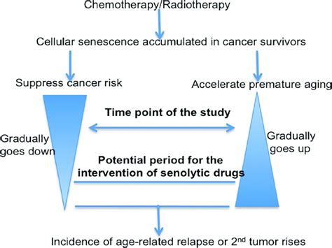 Model For The Role Of Therapy Induced Senescence In Tumorigenesis