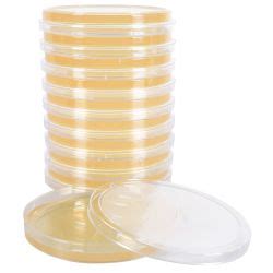 Tryptic Soy Agar TSA 5 5ml Slant