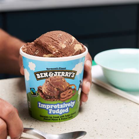 Impretzively Fudged™ Ice Cream Ben And Jerrys