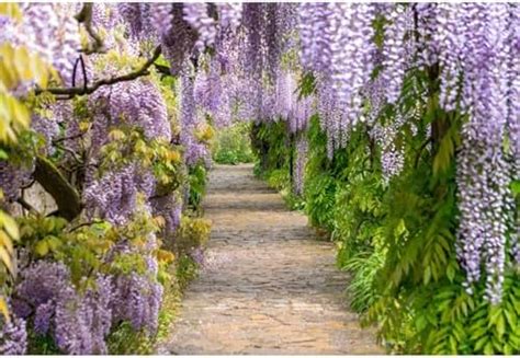 Amazon Mehofond Lavender And White Floral Bridal Shower Photo