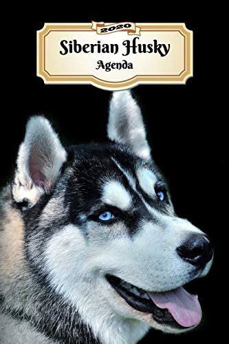 2020 Siberian Husky Agenda 107 Pagine Dimensioni DIN A5