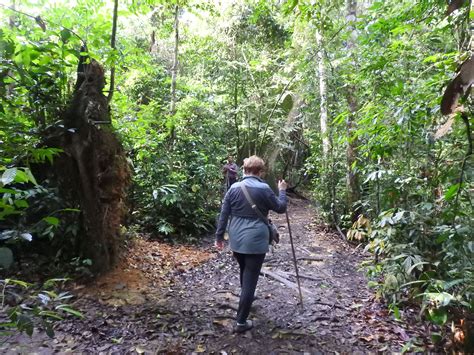 Gunung Leuser National Park Trekking To Explore Sumatra Wildlife