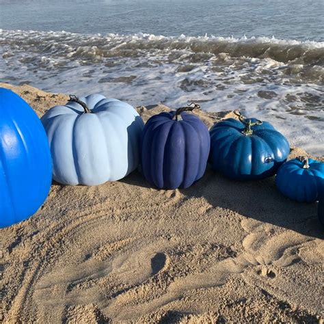 Coastal Pumpkins Etsy