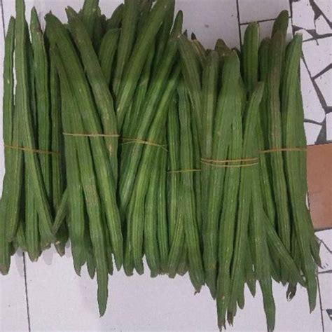 Jual Buah Kelor Satu Ikat Sayur Online Makassar Shopee Indonesia