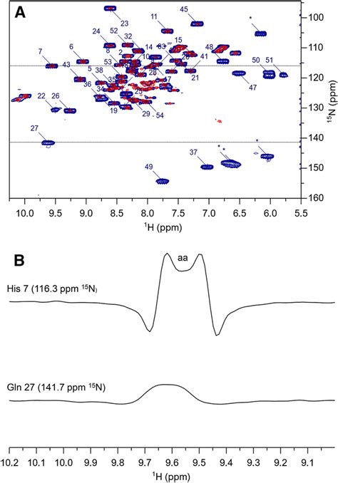 A¹⁵n Hsqc Spectra Of Pioc Obtained With An R2 Weighted ¹⁵n Hsqc Ap