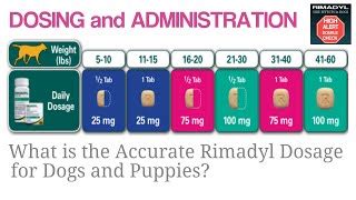 Rimadyl Dosing Chart: A Visual Reference of Charts | Chart Master