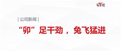 “卯”足干劲兔飞猛进 上海中硕国际物流