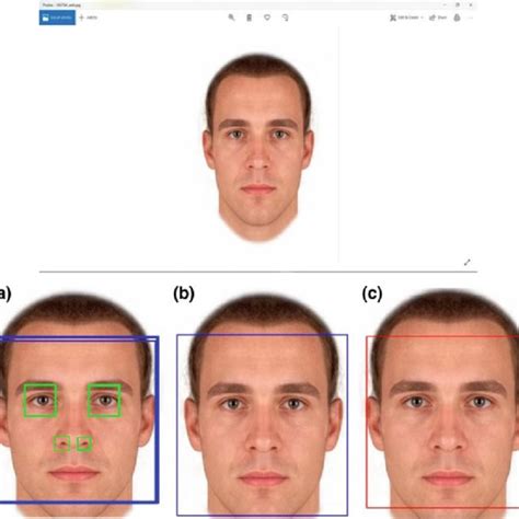 Pdf Face Detection Using Opencv And Haar Cascades Classifiers Hot Sex