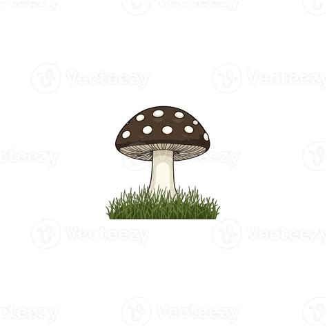 Locals are reacting as borinquen preserves its natural beauty 2