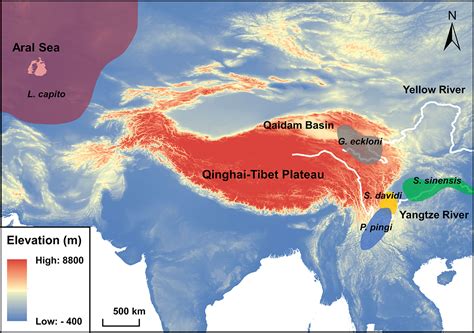 Tibetan Plateau World Map