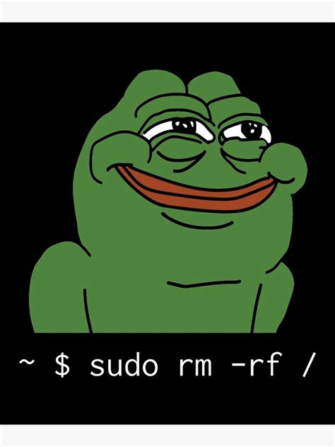 Pepe Sudo Rm Rf For Linux Funny Linux Command Poster Sticker For