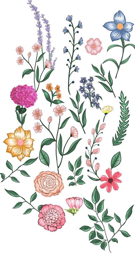 Pin By Kiran CH On Flowers In 2024 Flower Prints Art Botanical