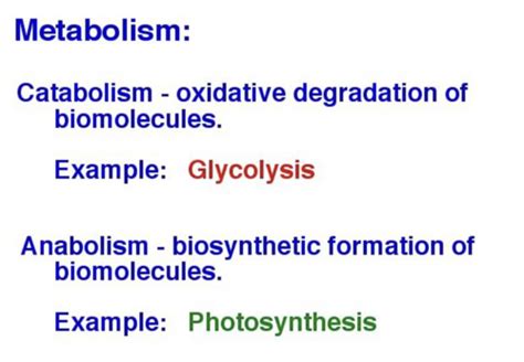 Bioc Exam 3 Flashcards Quizlet