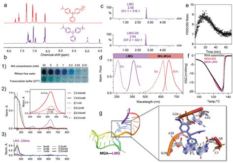 Validation Of The Dynamic Redox Reactions And Ratio Luminescence A