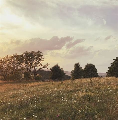 Turisteando Hermosas fotografías de Praderas que no solo te