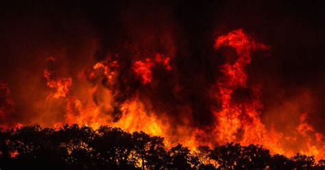 Hitzewelle In Portugal Mindestens Verletzte Bei Waldbr Nden An Algarve