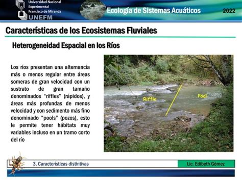 Estructura Y Funcionamiento De Los Ecosistemas Acu Ticos Pdf