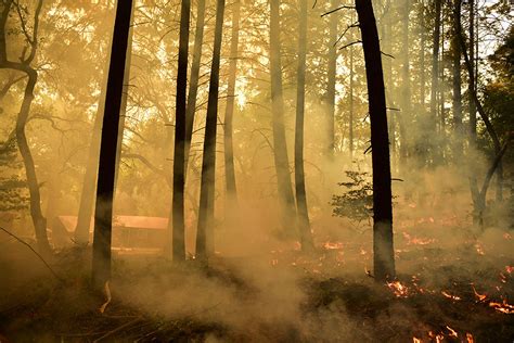 Fire on the Mountain: Balancing the Risks and Rewards of Wildfire ...